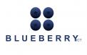 Logo & stationery # 798012 for Blueberry ICT goes for complete redesign (Greenfield) contest