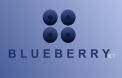 Logo & stationery # 798013 for Blueberry ICT goes for complete redesign (Greenfield) contest