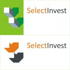 Logo & Huisstijl # 208988 voor Ontwerp nieuwe huistijl voor Select Invest  wedstrijd