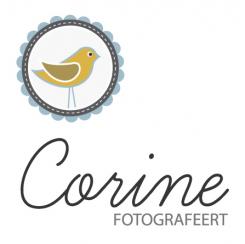 Logo & Huisstijl # 150676 voor Logo en huisstijl voor newborn- en kinderfotograaf/Logo and house style for newborn and children photographer wedstrijd