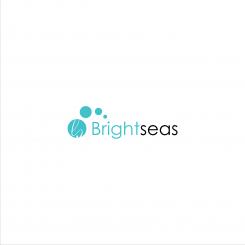 Logo & stationery # 1094399 for Logo   corporate identity for my new started company Brightseas contest