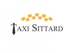 Logo & Huisstijl # 757192 voor Design a logo for my taxi business wedstrijd