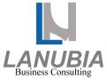 Logo & Huisstijl # 449139 voor Logo en Huisstijl voor een startende Business Consultancy wedstrijd