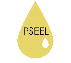Logo & stationery # 109273 for Pseel - Pompstation contest