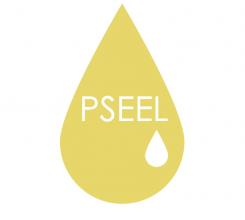 Logo & stationery # 109274 for Pseel - Pompstation contest