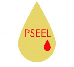 Logo & stationery # 109275 for Pseel - Pompstation contest