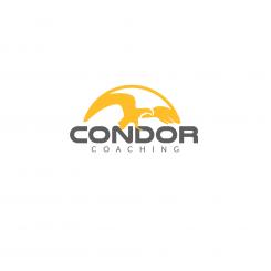 Logo & Huisstijl # 1161877 voor Condor wedstrijd