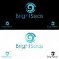 Logo & stationery # 1094918 for Logo   corporate identity for my new started company Brightseas contest