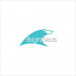 Logo & stationery # 1093908 for Logo   corporate identity for my new started company Brightseas contest