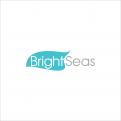 Logo & stationery # 1093915 for Logo   corporate identity for my new started company Brightseas contest