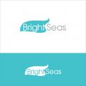 Logo & stationery # 1093945 for Logo   corporate identity for my new started company Brightseas contest