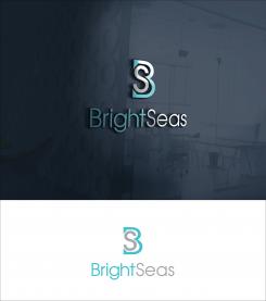 Logo & stationery # 1093049 for Logo   corporate identity for my new started company Brightseas contest