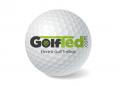 Logo & Huisstijl # 1171855 voor Ontwerp een logo en huisstijl voor GolfTed   elektrische golftrolley’s wedstrijd