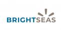 Logo & Huisstijl # 1094423 voor Logo en huisstijl voor mijn eenmanszaak Brightseas wedstrijd