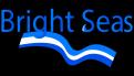 Logo & Huisstijl # 1094935 voor Logo en huisstijl voor mijn eenmanszaak Brightseas wedstrijd