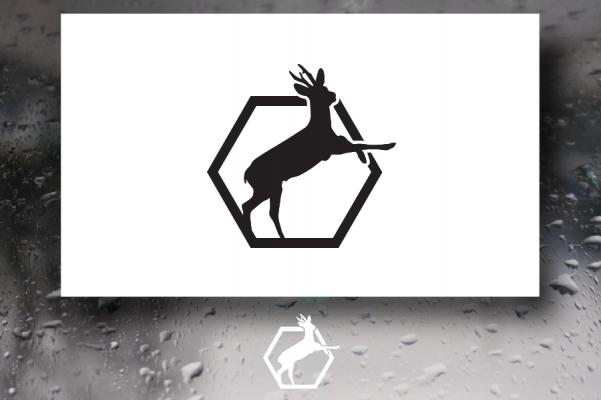 300x300
