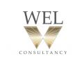 Logo & stationery # 356573 for Wanted: Cool logo and branding for a new small consultancy firm called WEL consulting contest