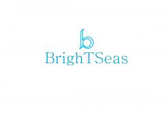 Logo & stationery # 1093027 for Logo   corporate identity for my new started company Brightseas contest