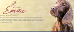 Logo & stationery # 1299104 for The pet industry is looking for you! contest