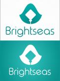 Logo & stationery # 1094885 for Logo   corporate identity for my new started company Brightseas contest