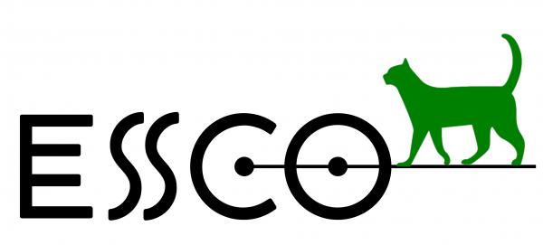 300x300