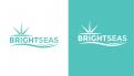 Logo & stationery # 1093699 for Logo   corporate identity for my new started company Brightseas contest