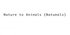 Bedrijfsnaam # 80219 voor Naam voor dierenpraktijk gezocht wedstrijd