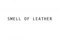 Company name # 101520 for International shoe atelier in hart of Amsterdam is looking for a new name contest