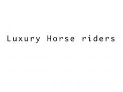 Company name # 120060 for Name for a webshop: exclusive equestrian - clothing & bridles contest