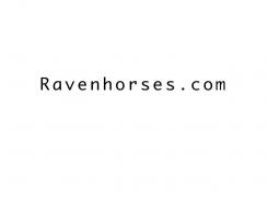 Company name # 123701 for Name for a webshop: exclusive equestrian - clothing & bridles contest