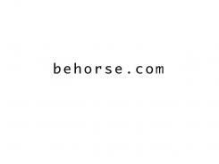 Company name # 123401 for Name for a webshop: exclusive equestrian - clothing & bridles contest