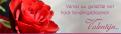Overig # 63025 voor Valentijnsheader voor onze e-commerce bloemenwebsite in België wedstrijd