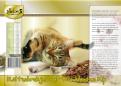 Overig # 126306 voor Pardoes Premium kattenbrokjes doosverpakking ontwerp prints wedstrijd