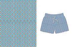 Other # 831539 for Print design for fabric swimming trunks  contest