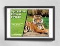 Print ad # 349897 for Greenpeace Poster contest 2014: Campaign for the protection of the Sumatra Tiger contest