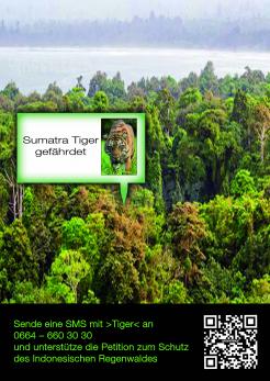 Print-Anzeige  # 350565 für Greenpeace Plakat-Wettbewerb 2014: Sujet für Plakat Kampagne zum Schutz des Sumatra Tigers Wettbewerb