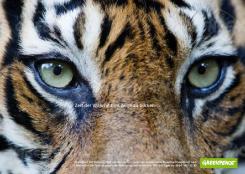 Print ad # 350756 for Greenpeace Poster contest 2014: Campaign for the protection of the Sumatra Tiger contest