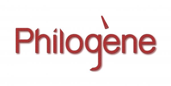 300x300