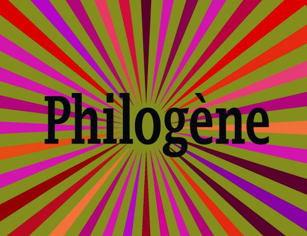 300x300