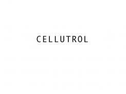 product or project name # 245813 for Design a modern, fresh quirky name for a cellulite firming body cream contest