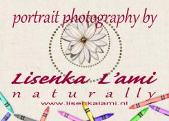 Stationery design # 103489 for A new bussiness style/logo for my work as a Portrait Photographer contest