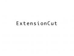 Unternehmensname  # 268239 für Name für Onlineshop mit Haar-Extensions / Name for an Onlineshop with Hair Extensions Wettbewerb