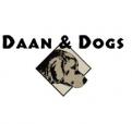 Webpagina design # 62290 voor Logo en eventuele bedrijfsnaam voor hondenuitlaatservice wedstrijd