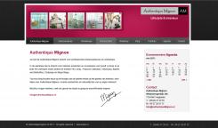 Website design # 22453 voor Redesign voor website met shop wedstrijd